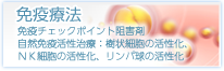 免疫療法(抗PD-1抗体ｵﾌﾞｼﾞｰﾎﾞ(ﾆﾎﾞﾙﾏﾌﾞ）治療薬、自然免疫活性治療：樹状細胞活性化療法、ＮＫ細胞活性化療法、リンパ球活性化療法)